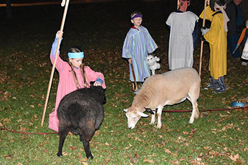 Live Nativity 10